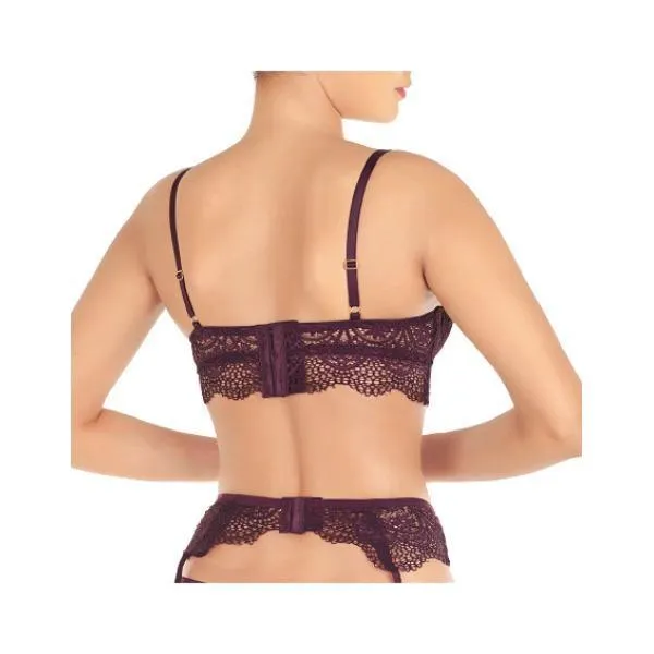 Lace Push Up Bra Set With Garter Belt-fig For Women