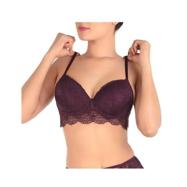 Lace Push Up Bra Set With Garter Belt-fig For Women